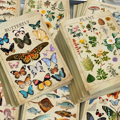 8 Sheets Retro Nature Sticker Pack - Kabukis