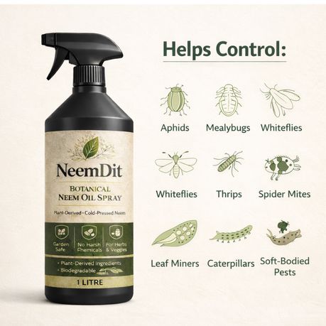 NeemDit Ready To Use Neem Oil Plant Spray 1L - Powerful Natural Care - Kabukis