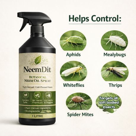 NeemDit Ready To Use Neem Oil Plant Spray 1L - Powerful Natural Care - Kabukis